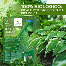 Carica l'immagine nel visualizzatore di Gallery, LERAVA Ossicloruro di Rame (800 g) - Verderame Rameico BIO per piante - Fungicida contro Peronospora e Bolla del Pesco -