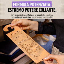 Carica l'immagine nel visualizzatore di Gallery, Super Ninja Antitarme per Armadi Vestiti, Trappole Tarme Vestiti, 4 Pezzi