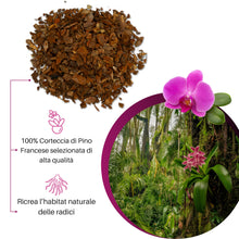 Carica l'immagine nel visualizzatore di Gallery, GebEarth® - Terriccio per Orchidee, Substrato per Orchidee da 1 Litro【 Terriccio Professionale per tutte le Orchidee 】