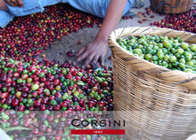 Carica l&#39;immagine nel visualizzatore di Gallery, Caffè Corsini - American Coffee, Miscela di Caffè Macinato per Caffè Americano, Caffè Lungo e Caffè Filtro, Leggero e Profumato - 6 Confezioni da 250 Grammi Sottovuoto
