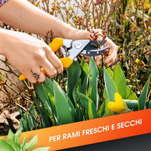 Carica l'immagine nel visualizzatore di Gallery, GRÜNTEK Forbici da Giardino Professionali Cesoie da Potatura Giardino 21cm Utensile da Giardino Giallo Gyrfalke