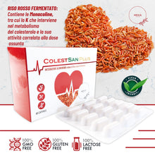Carica l'immagine nel visualizzatore di Gallery, RISO ROSSO FERMENTATO e Coenzima Q10, Acido Folico e flavonoidi Melograno.