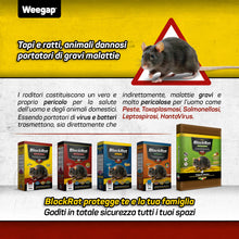 Carica l'immagine nel visualizzatore di Gallery, Veleno per Topi e Ratti in Mini Blocchi ai Cereali, Esca Topicida Professionale Potente, Ratticida per Uso Esterno e Int