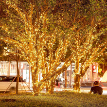 Carica l'immagine nel visualizzatore di Gallery, 600 LED 15M Tenda Luminosa Natale, Cascata Luci Esterna Interno. IP44 Impermeabile con 8 Modalità per Festa,Giardino e M