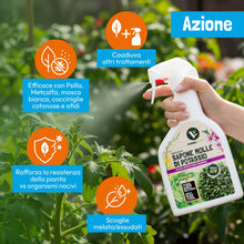 Carica l'immagine nel visualizzatore di Gallery, VerdeVivo Sapone Molle Potassico per Piante - 750ml. Sapone Molle di Potassio Naturale - Spray Pronto all'Uso per Orto, 