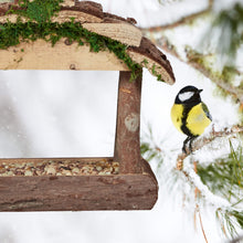 Carica l'immagine nel visualizzatore di Gallery, Relaxdays Mangiatoia per Uccelli, Casette in Legno Dispenser di Mangime da Esterno, Decorazione da Giardino, Marrone