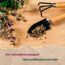 Carica l'immagine nel visualizzatore di Gallery, Tabacco Kentucky (Nicotiana Tabacum) - circa 600 semi