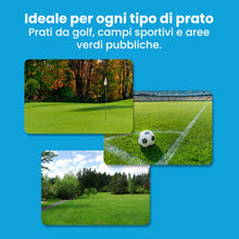 Carica l'immagine nel visualizzatore di Gallery, LERAVA® Solfato di Ferro (20m²) – Antimuschio per prato – Correttore pH e Anti-Ingiallimento – Antingiallente Fogliare –