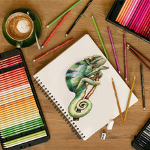 Carica l'immagine nel visualizzatore di Gallery, Zenacolor - 72 Matite Colorate - Per Bambini e Professionnali