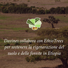 Carica l'immagine nel visualizzatore di Gallery, Davines PURIFYING Shampoo - Shampoo Purificante Antiforfora - 250 ml