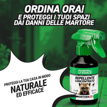 Carica l'immagine nel visualizzatore di Gallery, RepellShield Spray Repellente Topi e Anti Martora per Auto 250ml
