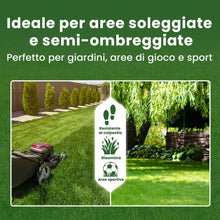 Carica l'immagine nel visualizzatore di Gallery, LERAVA® EXPRESS semi prato crescita rapida (30m²) - Semina resistente al calpestio - Sementi per prato soleggiato e mezz