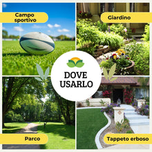 Carica l'immagine nel visualizzatore di Gallery, Albagarden - Semi Prato Universale Resistente - 40m² - Per Zone Ombreggiate e Soleggiate - Sementi Erba per Tappeti Erbo