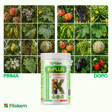 Carica l'immagine nel visualizzatore di Gallery, Fitokem K Plus Bicarbonato di Potassio per Piante 1KG Fertilizzante Concime Orto Giardino Alberi da Frutto Universale Fu