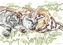 Carica l&#39;immagine nel visualizzatore di Gallery, Ravensburger - CreArt Serie E, Cane e Gatto Dolce Sonno, Dipingere con i Numeri, Kit Pittura Bambini, Tema Animali, Cornice Inclusa, Gioco Educativo, Idea Regalo Bambini 7+ Anni, 22x16cm