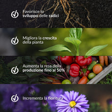Carica l'immagine nel visualizzatore di Gallery, BIOTICA Humus di Lombrico 100% 2L, Concime Piante, Fiori e Orto