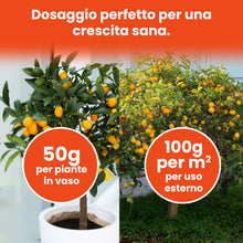 Carica l'immagine nel visualizzatore di Gallery, LERAVA® Lupini macinati (3,6 kg) - concime limoni biologico - acidificante suoli naturale - azione rapida per agrumi - m