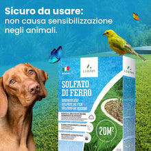 Carica l'immagine nel visualizzatore di Gallery, LERAVA® Solfato di Ferro (20m²) – Antimuschio per prato – Correttore pH e Anti-Ingiallimento – Antingiallente Fogliare –