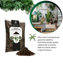 Carica l'immagine nel visualizzatore di Gallery, GebEarth® | Terriccio per Piante Verdi | Nutrimento Prolungato e Crescita Sana | Ideale per Monstera, Photos, Dracaena e