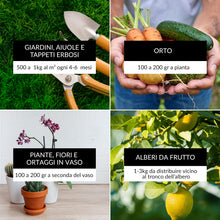 Carica l'immagine nel visualizzatore di Gallery, BIOTICA Humus di Lombrico 100% 2L, Concime Piante, Fiori e Orto