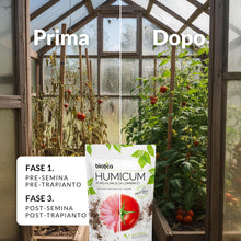 Carica l'immagine nel visualizzatore di Gallery, BIOTICA Humus di Lombrico 100% 2L, Concime Piante, Fiori e Orto