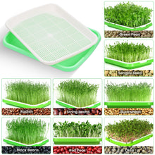 Carica l'immagine nel visualizzatore di Gallery, Hejo 5 Pezzi Vassoio Germinazione,Riutilizzabile Germogliatore per Semi Alimentari,Impilabile Semenzaio Germinazione,Min