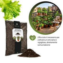 Carica l'immagine nel visualizzatore di Gallery, GebEarth® | Terriccio per Orto in Balcone | Substrato con Torba, Perlite e Concime NPK a Lenta Cessione | Radici Forti p
