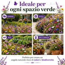 Carica l'immagine nel visualizzatore di Gallery, AGRI-CULTURA® | Mix per Farfalle | Miscuglio di Semi con 25 Varietà di Fiori Nettariferi | Attira Farfalle, Api e Insett