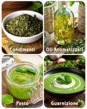 Carica l'immagine nel visualizzatore di Gallery, ZenGreens® Set di Semi di Erbe Aromatiche bio - 12 varietà antiche