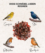 Carica l'immagine nel visualizzatore di Gallery, Dehner Natura Premium mangime per uccelli selvatici, con uvetta, non solforato, 2 kg