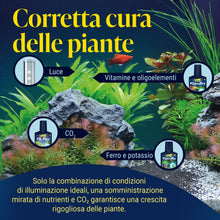 Carica l'immagine nel visualizzatore di Gallery, Tetra PlantaPro - Fertilizzante liquido per piante d'acquario, 250 ml