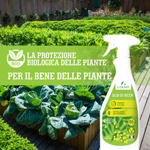 Carica l'immagine nel visualizzatore di Gallery, LERAVA Olio di Neem per Piante (700 ml) - Spray Repellente per Cocciniglia
