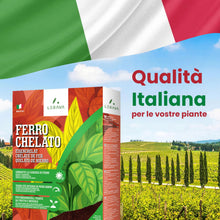 Carica l'immagine nel visualizzatore di Gallery, LERAVA Ferro Chelato per Piante (200 g) - Rinverdente Contro Clorosi Ferrica - Chelato di Ferro per Piante - Soluzione P