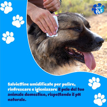 Carica l&#39;immagine nel visualizzatore di Gallery, Nice Pet Salviette IGIENIZZANTI Cani, Gatti con CLOREXIDINA - 100 Salviette - Proteggono Il PH Naturale - Profum al Muschio - Salvette Ideali per l&#39;igiene Manto di Cani e Gatti | Salviette Cane