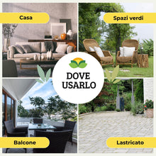 Carica l'immagine nel visualizzatore di Gallery, Albagarden Trappola Formiche con Gel Insetticida, 2 Casette Esca Anti Formiche, Elimina Colonia e Regina con Imidaclopri