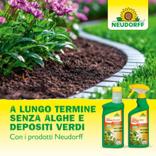 Carica l'immagine nel visualizzatore di Gallery, Neudorff Spruzit Insetticida Pronto Uso PFnPO – Combatte parassiti come mosche bianche, cocciniglie a scudo, cocciniglie