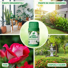 Carica l'immagine nel visualizzatore di Gallery, Gardemia Olio di Neem per Piante 250ml 100% Vegetale Azione Naturale contro varie Avversità Giardino Multiuso Concentrat