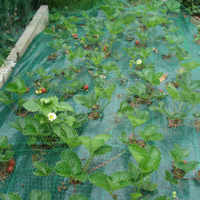 Carica l'immagine nel visualizzatore di Gallery, TENAX Rete Antiuccelli Ortoflex 4,00 x 5 m Verde, Rete di Protezione Anti Uccelli per Piante, Frutti e Colture, Confezio