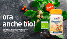 Carica l'immagine nel visualizzatore di Gallery, LongLife® Ashwagandha Bio | KSM-66 Ashwagandha® titolata 5% withanolidi | Tonico adattogeno | Rilassamento e benessere m