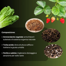 Carica l'immagine nel visualizzatore di Gallery, GebEarth® | Terriccio per Orto in Balcone | Substrato con Torba, Perlite e Concime NPK a Lenta Cessione | Radici Forti p