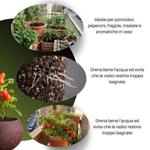 Carica l'immagine nel visualizzatore di Gallery, GebEarth® | Terriccio per Orto in Balcone | Substrato con Torba, Perlite e Concime NPK a Lenta Cessione | Radici Forti p