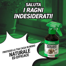 Carica l'immagine nel visualizzatore di Gallery, RepellShield® Spray Ragni e Ragnatele per Porte, Finestre, Battiscopa, Angoli - 250ml - Non Macchia - con Menta Piperita