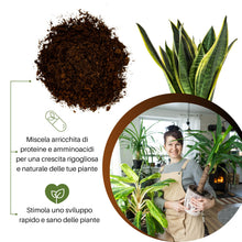 Carica l'immagine nel visualizzatore di Gallery, GebEarth® | Terriccio Universale Protein Base | Nutrimento Prolungato e Sostegno Avanzato per Crescita Sana | Ideale per