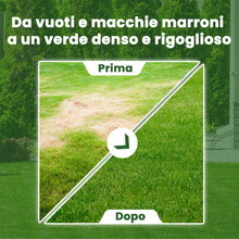 Carica l'immagine nel visualizzatore di Gallery, LERAVA® EXPRESS semi prato crescita rapida (30m²) - Semina resistente al calpestio - Sementi per prato soleggiato e mezz