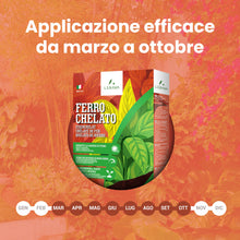 Carica l'immagine nel visualizzatore di Gallery, LERAVA Ferro Chelato per Piante (200 g) - Rinverdente Contro Clorosi Ferrica - Chelato di Ferro per Piante - Soluzione P