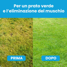 Carica l'immagine nel visualizzatore di Gallery, LERAVA® Solfato di Ferro (20m²) – Antimuschio per prato – Correttore pH e Anti-Ingiallimento – Antingiallente Fogliare –