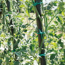Carica l'immagine nel visualizzatore di Gallery, TENAX Tubetto Agricolo Verde 1000g Diametro 2mm, Legatura in PVC per Piante, ortaggi e Fiori, Lunghezza Circa 240 m,1 item