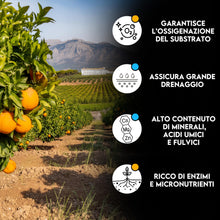 Carica l'immagine nel visualizzatore di Gallery, ZOMA Terriccio per Agrumi professionale Con Ph Leggermente Acido - Terriccio agrumi Concimato naturalmente con il 20% di