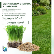 Carica l'immagine nel visualizzatore di Gallery, B4Green Semi Prato Inglese Professionale (40m²) per Giardino di Pregio