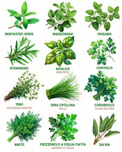 Carica l'immagine nel visualizzatore di Gallery, ZenGreens® Set di Semi di Erbe Aromatiche bio - 12 varietà antiche